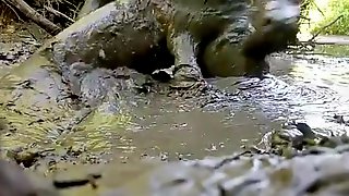 NUDE MAN PLAYING IN MUD HOLE