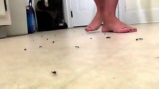 Unaware flip-flop ant crush