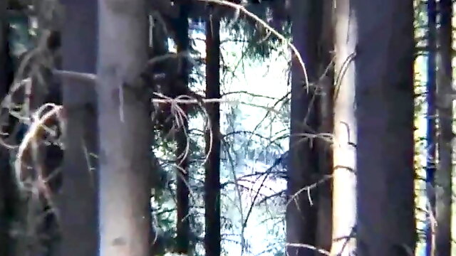 Couple split by stranger in forest