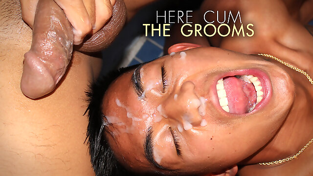 Groom Gay