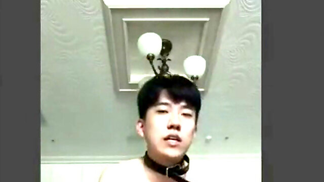 KOREAN web cam 1