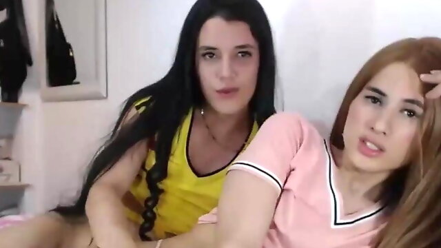 Two Tranny, Tranny Fucking On Webcam, Shemale Fucking Each Other, Couple