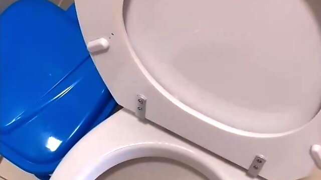 Toilet Gay
