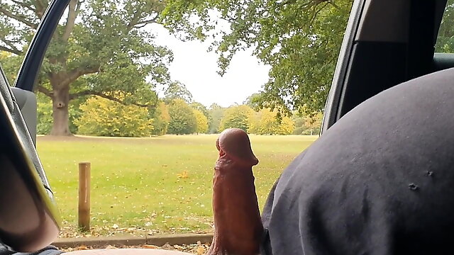 Car wank in the park 