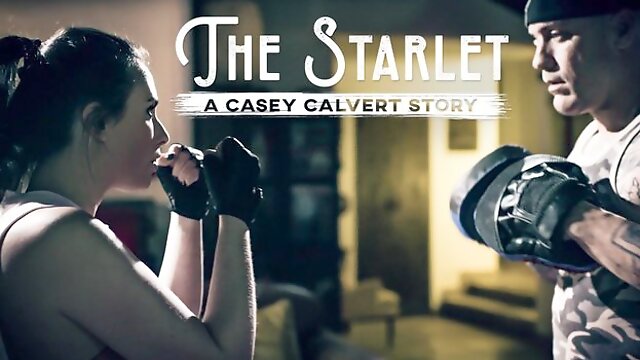 The Starlet: A Casey Calvert Story