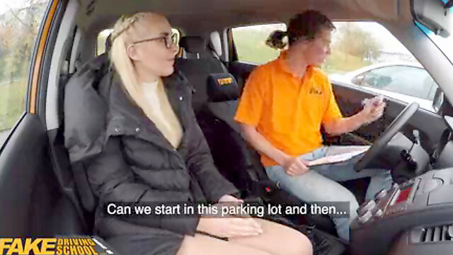 Fakedrivingschool