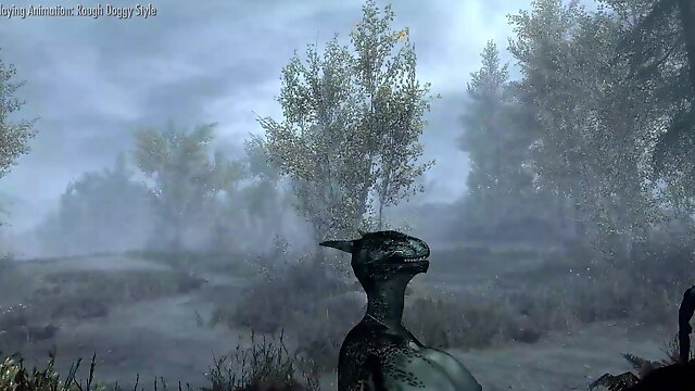 Skyrim