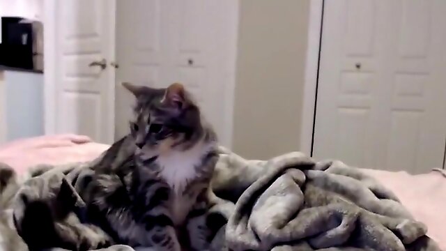 Babyleah98 Naked Shines Its Holes In Fries