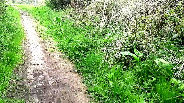 Bridleway walk near road and playing with cock