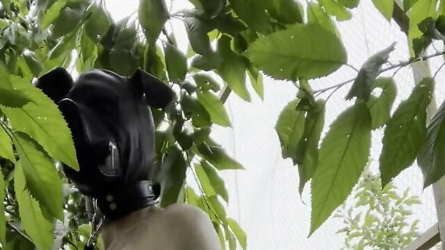 Xhamster Gay Au Jardin