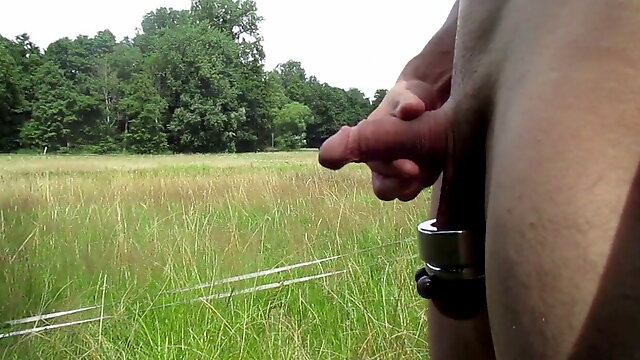 Stretching Balls On The Quarry 