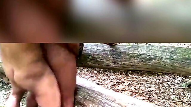 Anal Outdoor Indian Xhamster