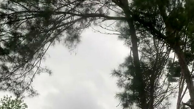 Xhamster Gay Au Jardin