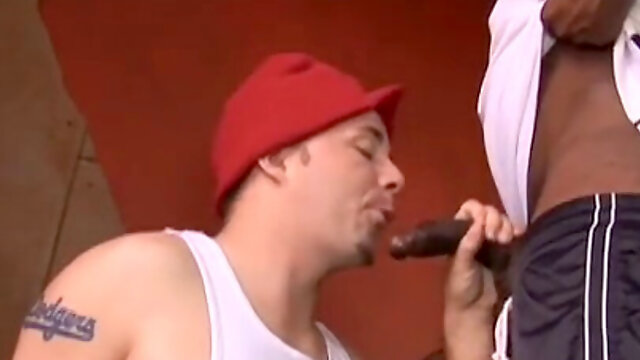 Buttfuck, gay oral, black