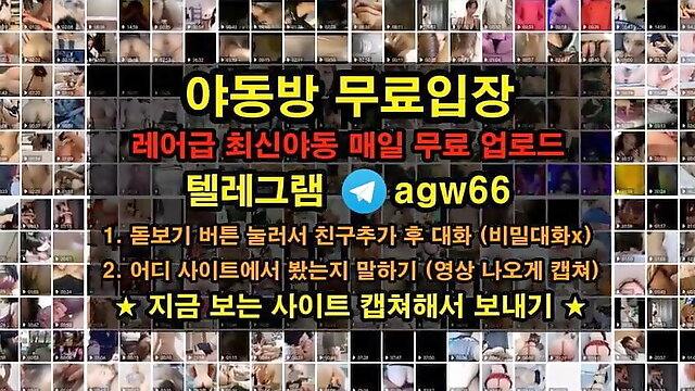 한국부부섹스동영상