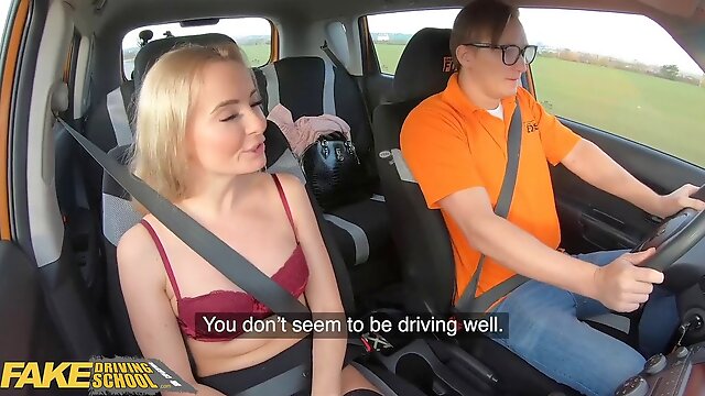 Fakedrivingschool