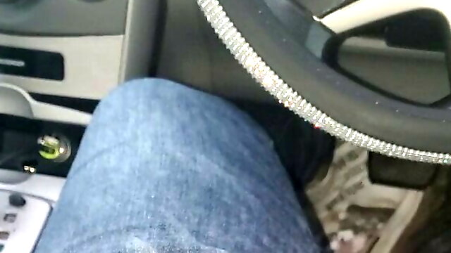 Gay En Coche