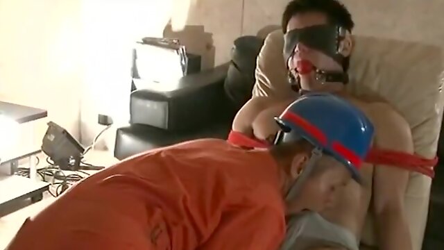Gay And Bi