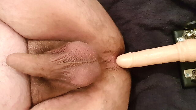 Sex Machine Anal Gay