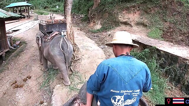 Elephant riding in Thailand with teens