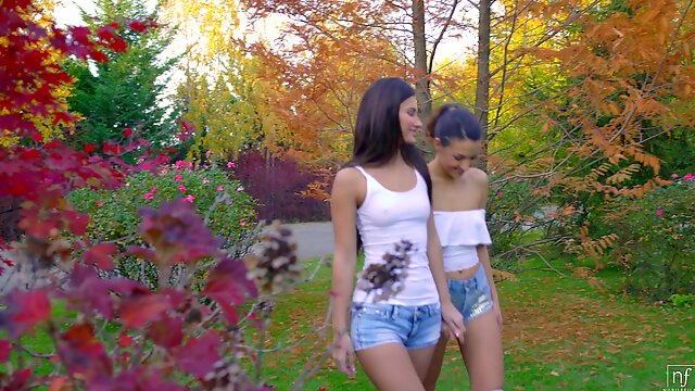 Passionate nude beauties touch tits and pussies in charming oral