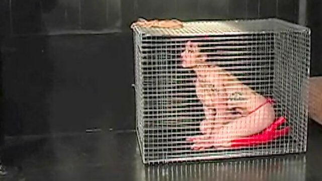 Naked girl in a cage has big tits