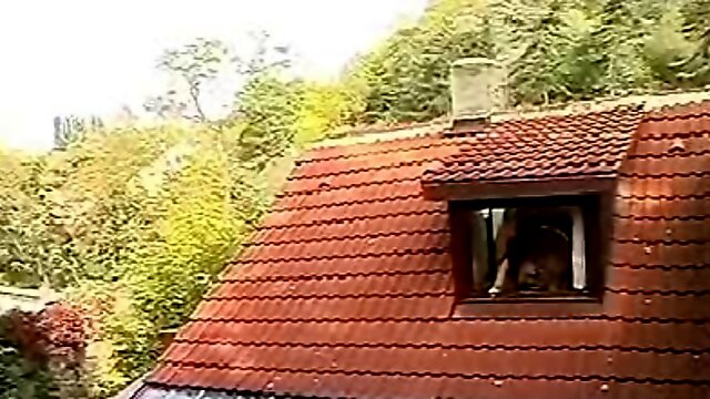 Neighbor couple fucks in the window