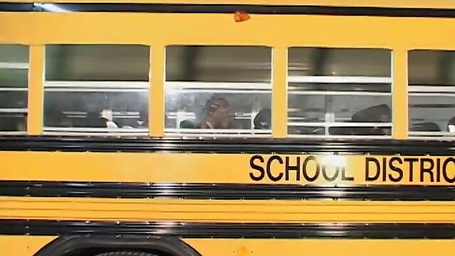 Vintage Orgasm, School Bus, American Vintage