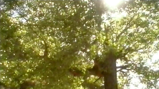 Beautiful brunette with great tits sucks cock and gets fuck