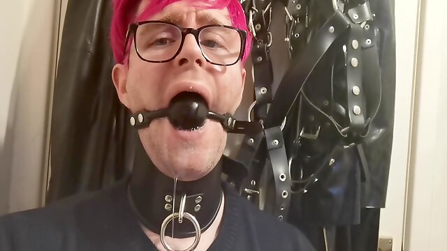 Gay Bdsm Collar