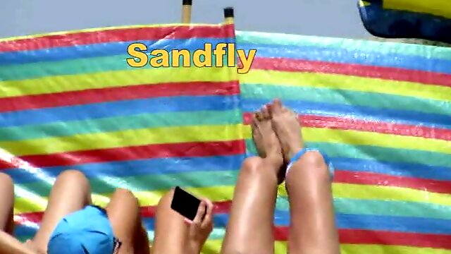 Sandfly Exisexual Metabeach Reality!