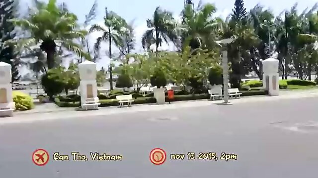 Vietnamitas