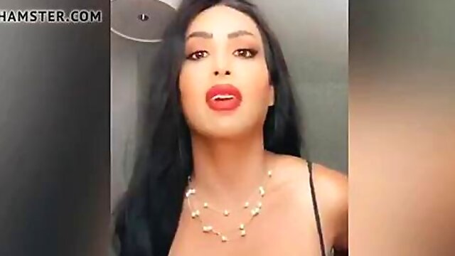 Arab Shemale TRANNY