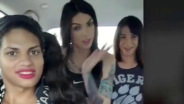 Chelsea Marie, Morena Black, Beach Tranny, Dona Abelar, Interview