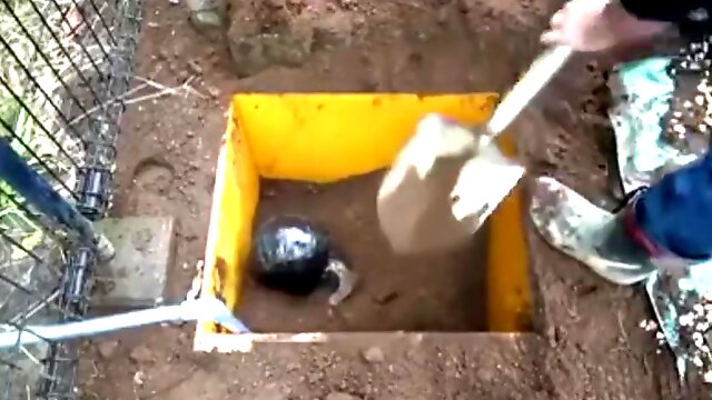 Asian Outdoor Bdsm, Mummification, Buried Alive