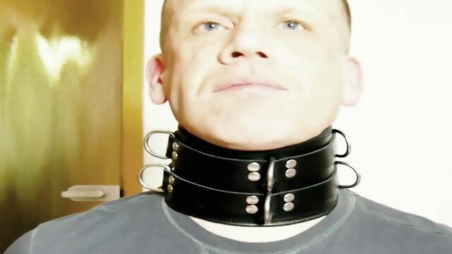 Gay Bdsm Collar