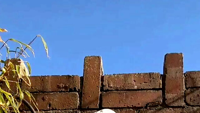 Gay Wichsen Solo Öffentlich