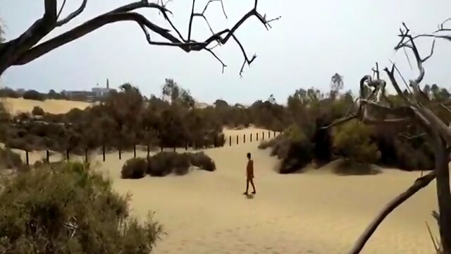 Beach Gape Public In The Dunes