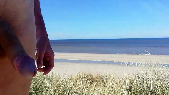 Nude walking through the Dutch dunes