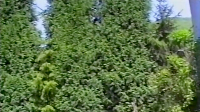 Cunnilingus Face Riding