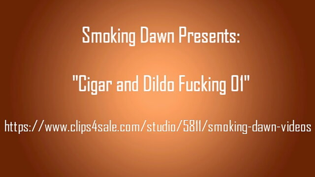 Big Cigar and Dildo Fucking