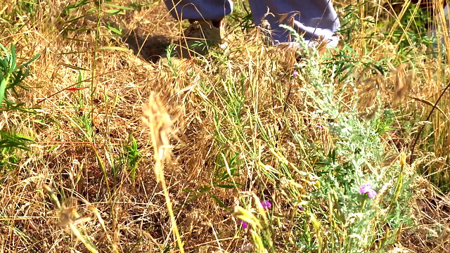 Summer fun of two young guys.  Sucking by the sea