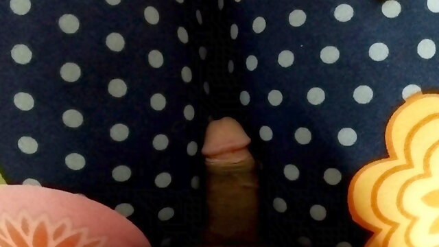 Desi village sex video