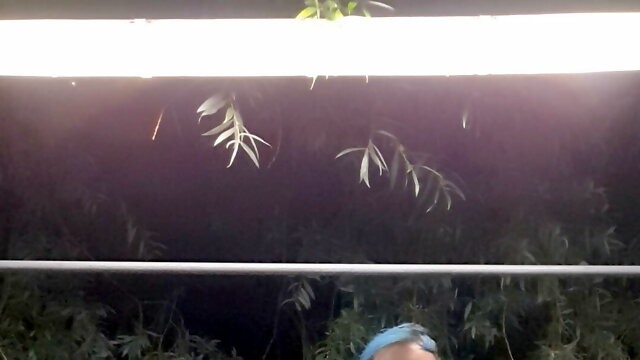  I piss in a parking lot