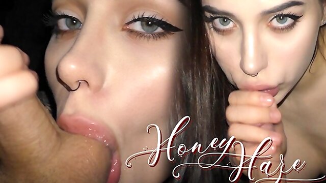Honey Haze