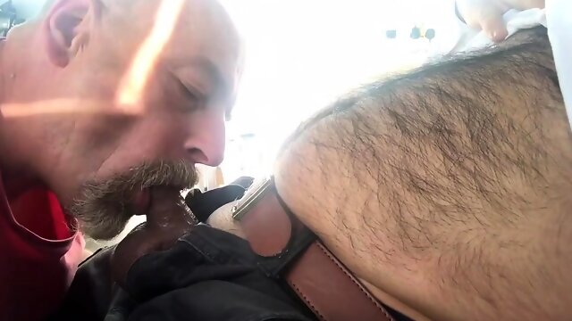 Dad sucking hairy cub
