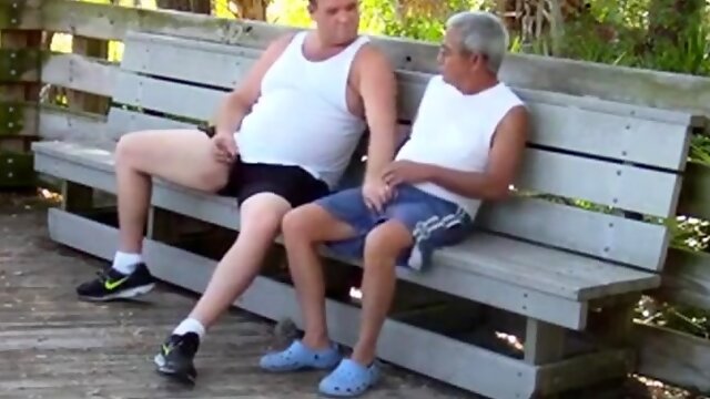 Older gays have sex in public park