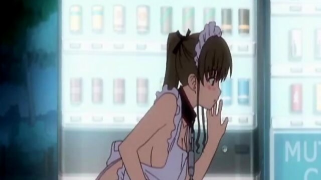 Walking On A Leash Outdoors