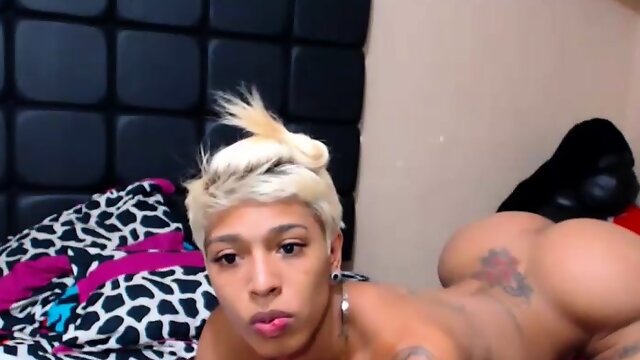 Ebony Tranny Big Ass