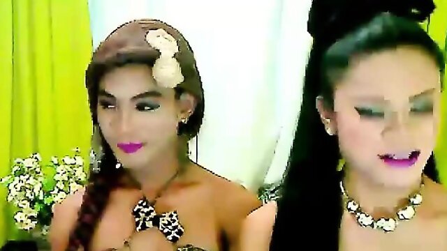 Two Shemales On Webcam